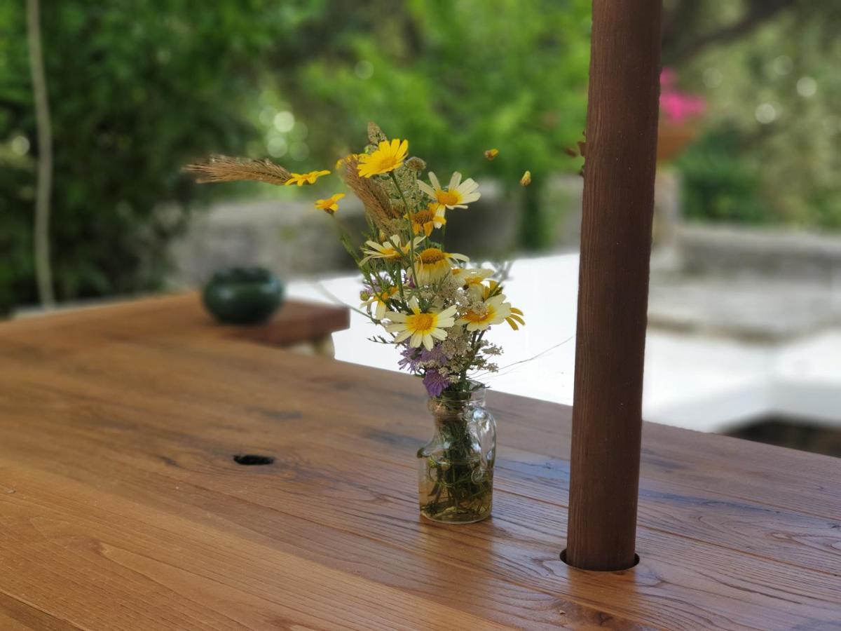 L'Antico Ulivo Villa Santa Cesarea Terme Eksteriør bilde