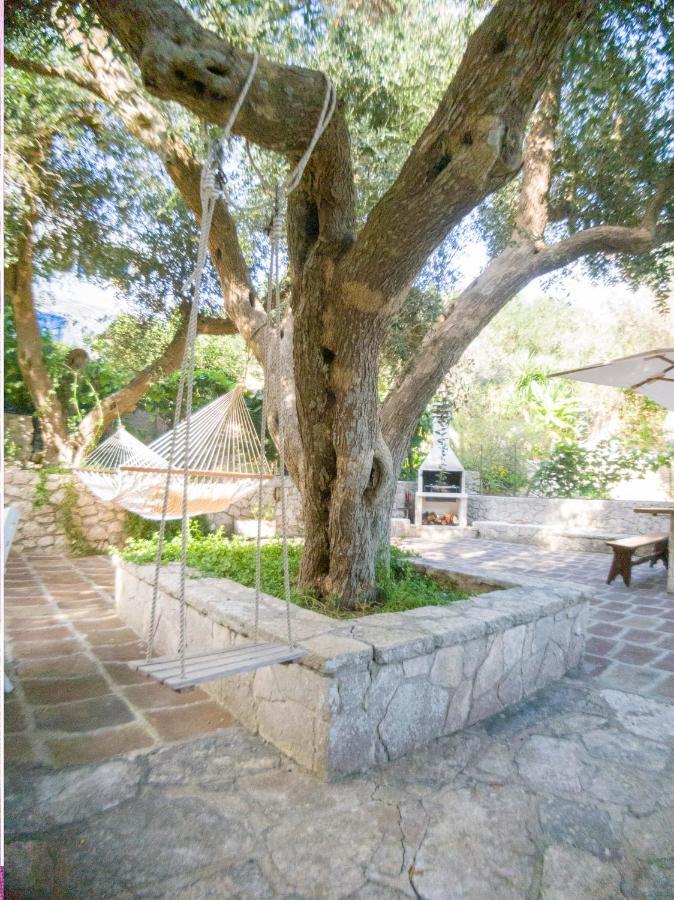 L'Antico Ulivo Villa Santa Cesarea Terme Eksteriør bilde