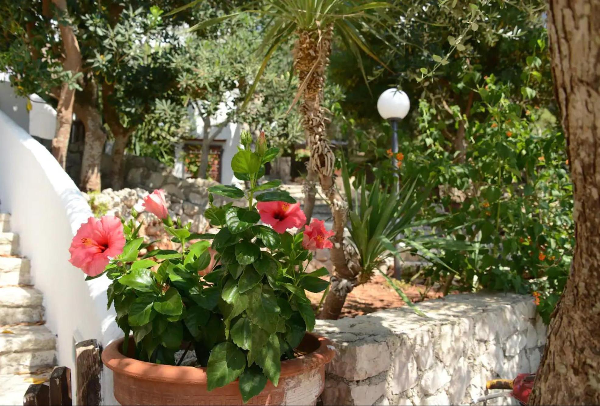 L'Antico Ulivo Villa Santa Cesarea Terme Eksteriør bilde