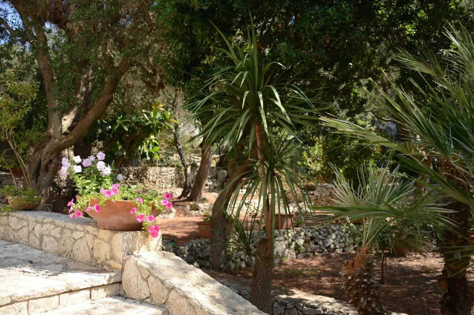 L'Antico Ulivo Villa Santa Cesarea Terme Eksteriør bilde