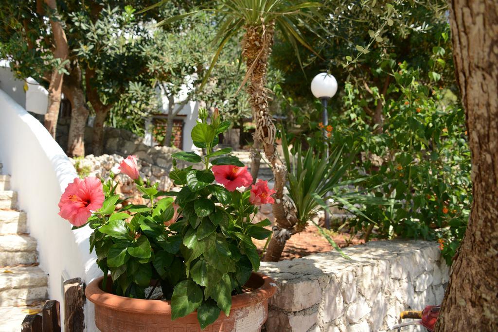 L'Antico Ulivo Villa Santa Cesarea Terme Eksteriør bilde