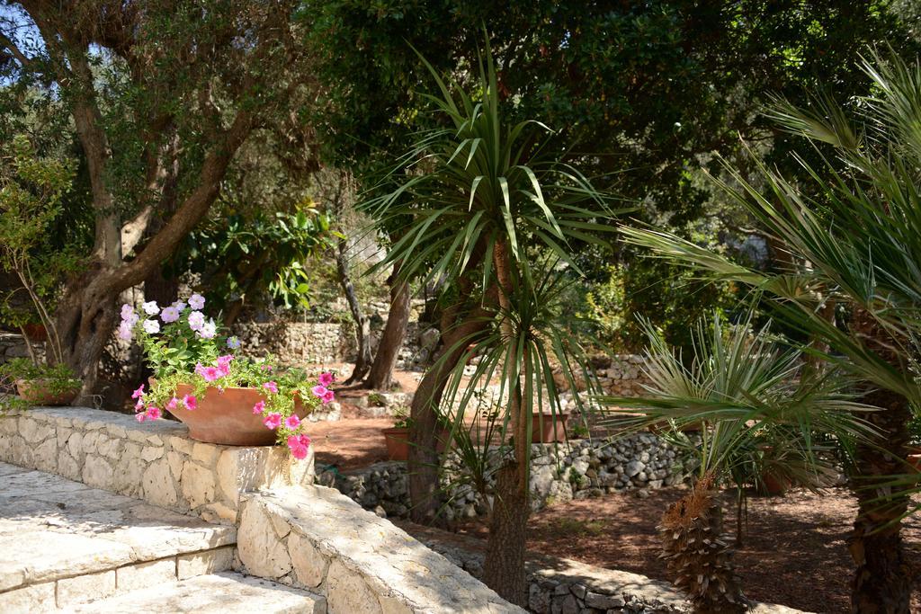 L'Antico Ulivo Villa Santa Cesarea Terme Eksteriør bilde