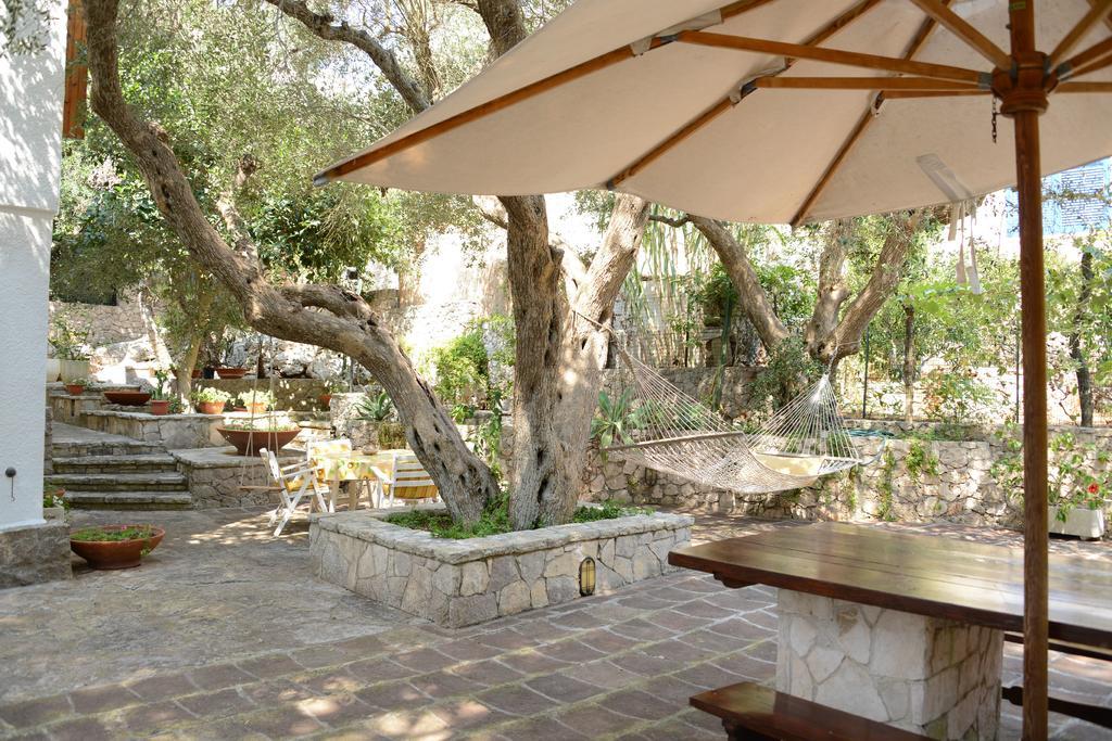 L'Antico Ulivo Villa Santa Cesarea Terme Eksteriør bilde